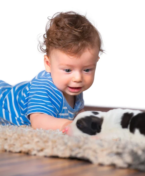 Portrait de bébé garçon studio — Photo