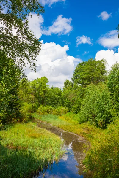 Fluss fließt in einen Affensee in den Bergen — Stockfoto