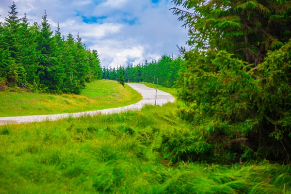 Vägen till Semenic Resort — Stockfoto