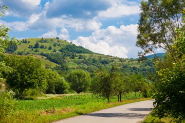Countryside in Hunedoara county clipart