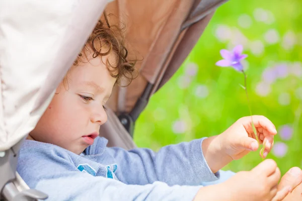 Bebé niño al aire libre en cochecito —  Fotos de Stock