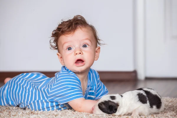 7 měsíců chlapeček — Stock fotografie