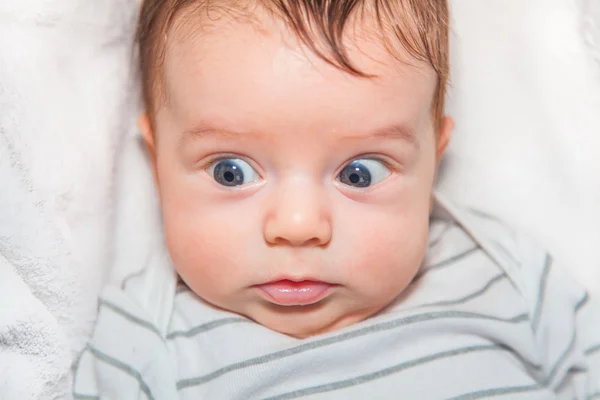 Portrait of 2 months old baby boy Stock Photo