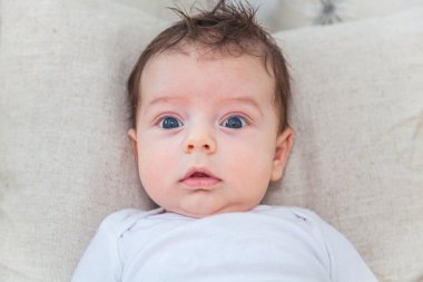 2 aylık erkek bebek portresi