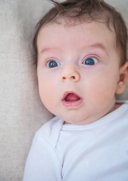 2 个月大男婴的肖像 — 图库照片