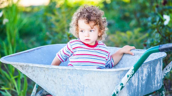 Baby boy exploring outdoor — Stock Photo, Image