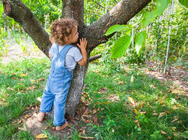 1 yaşındaki bebek çocuk portre — Stok fotoğraf