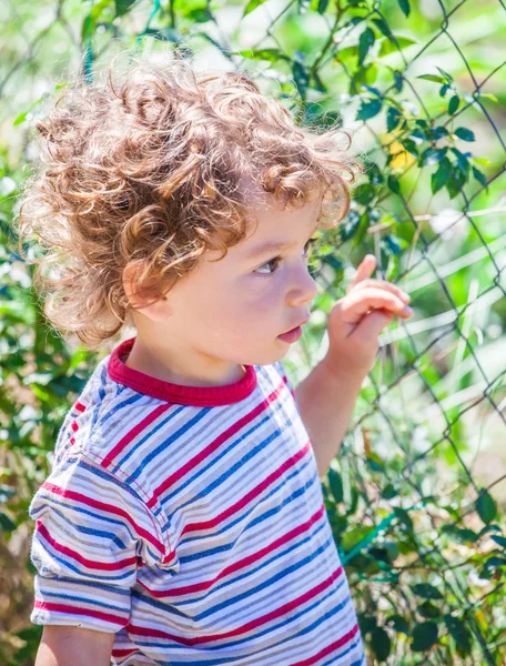 Baby boy exploring outdoor — Stock Photo, Image