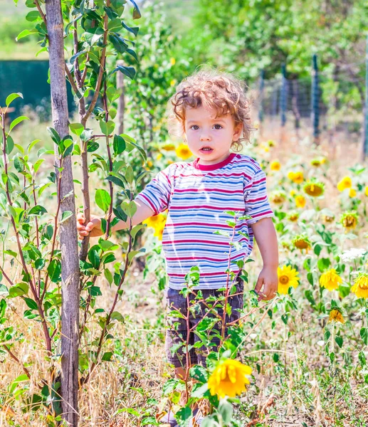 Babyjongen verkennen buiten — Stockfoto