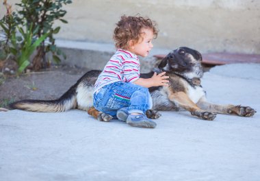 Bir köpekle oynamayı erkek bebek