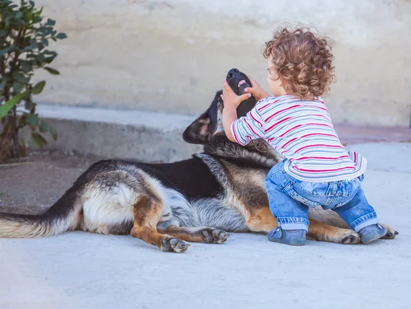 Chlapeček hrát se psem — Stock fotografie