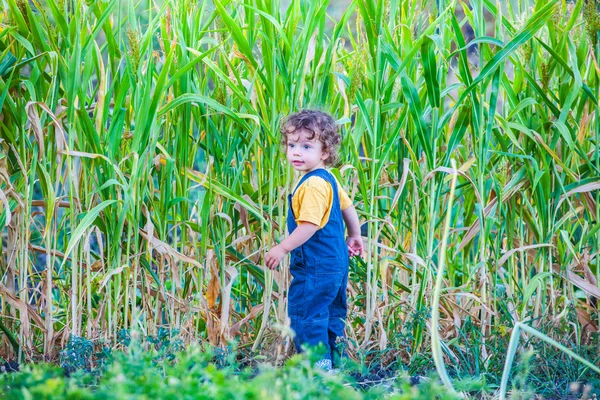 Menino explorando ao ar livre — Fotografia de Stock