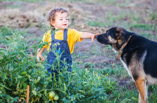 Açık keşfetmek erkek bebek
