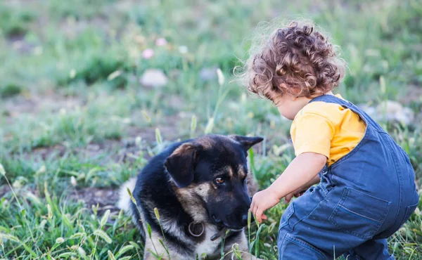 Açık keşfetmek erkek bebek