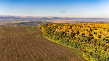 Romanya 'nın Iasi kenti yakınlarındaki Ciurbesti Ormanı' nın sonbaharda hava aracı görüntüsü açık bir günde çekildi.