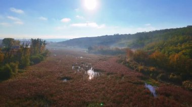 Sabahın erken saatlerinde Romanya 'nın Iai kenti yakınlarındaki Ezareni Gölü insansız hava aracı manzarası. Sis ve sonbahar renkleri huzurlu bir manzara yaratır..