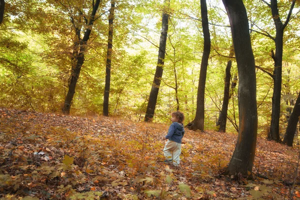 Menino na floresta — Fotografia de Stock