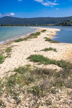 Yunanistan, Sithonia 'da kumsalları, sığ gölü ve turkuaz suyu olan Fteroti Sahili. Kıyı Akdeniz manzarası.