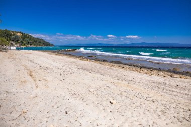 Yunanistan 'ın Chalkidiki kentindeki Afytos köyü yakınlarındaki kıyı şeridi, turkuaz denizi, kumlu kıyı şeridi ve kıyı bitkilerini gösteriyor.