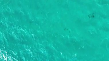 Yunanistan 'ın Chalkidiki kentindeki Afytos köyü yakınlarındaki kıyı şeridinin hava manzarası, turkuaz denizi, kumlu kıyı şeridi, kıyı bitkileri ve parlak bir gökyüzü altında deniz kenarındaki evleri gösteriyor..