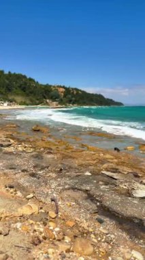 Yunanistan 'ın Chalkidiki kentindeki Afytos köyü yakınlarındaki kıyı şeridi, turkuaz denizi, kumlu kıyı şeridi, kıyı bitkileri ve parlak bir gökyüzü altında deniz kenarındaki evleri gösteriyor.