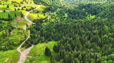 Romanya 'nın Karpat Dağları' ndaki Musat Geçidi 'nden geçen, çam ormanları, yeşil tepeler ve güneşli bir günde yaz bulutlarıyla çevrili bir hava aracı videosu..