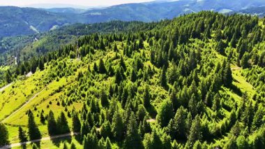 Pasul Bicaz 'ın (Pngrai) 1,257 metre yükseklikteki hava aracı videosu, Romanya' nın Karpat Dağları 'nda, sarmal bir dağ yolu, çam ormanları, yaz yeşilliği ve güneşli bir günde dağınık bulutları gösteriyor..