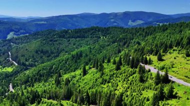 Pasul Bicaz 'ın (Pngrai) 1,257 metre yükseklikteki hava aracı videosu, Romanya' nın Karpat Dağları 'nda, sarmal bir dağ yolu, çam ormanları, yaz yeşilliği ve güneşli bir günde dağınık bulutları gösteriyor..