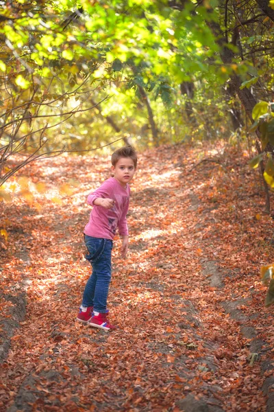 男の子の肖像画の屋外 — ストック写真