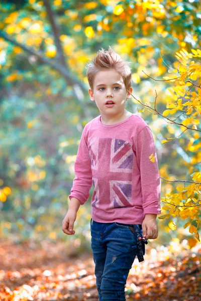Portrét chlapce venkovní — Stock fotografie