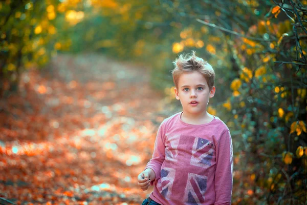 Pojke porträtt utomhus — Stockfoto