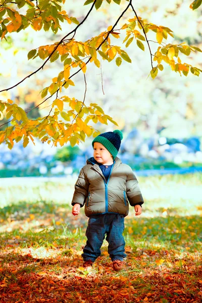 在树林里的小男孩 — 图库照片