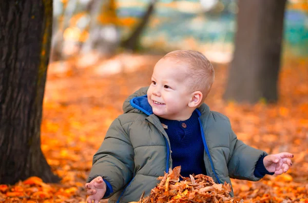 Pojke i skogen — Stockfoto