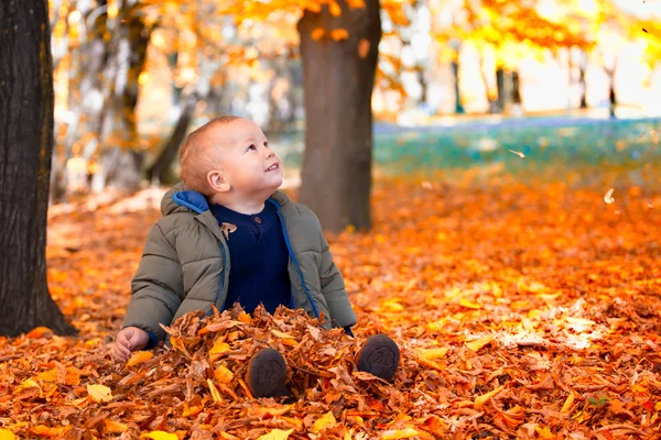 Pojke i skogen — Stockfoto