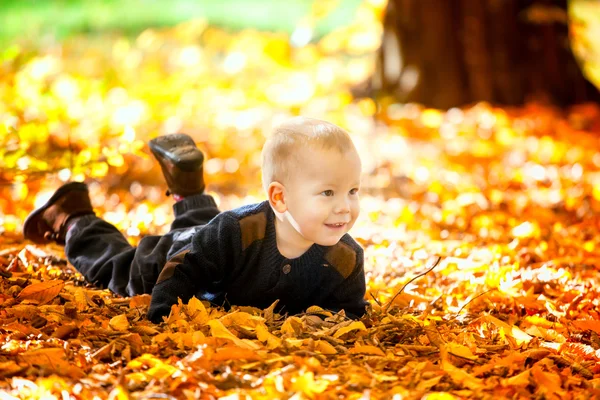 森の中で男の子の赤ちゃん — ストック写真