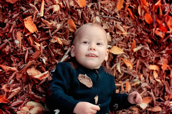Baby boy in the woods — Stock Photo, Image