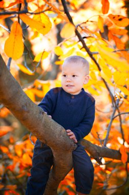 Bir dal üzerinde oturan erkek bebek