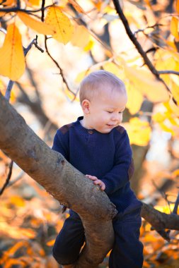 Bir dal üzerinde oturan erkek bebek