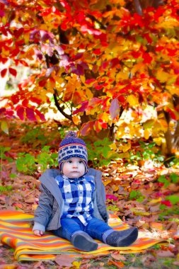 8 ay yaşlı çocuk sonbaharda