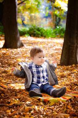 8 ay yaşlı çocuk sonbaharda