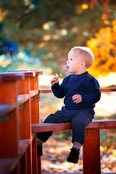 Baby jongen portret in de herfst — Stockfoto