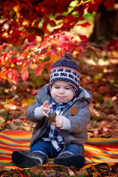 8 个月大男孩在秋天 — 图库照片