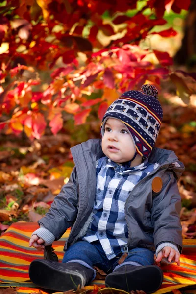 8 months old boy in the fall — Stock Photo, Image