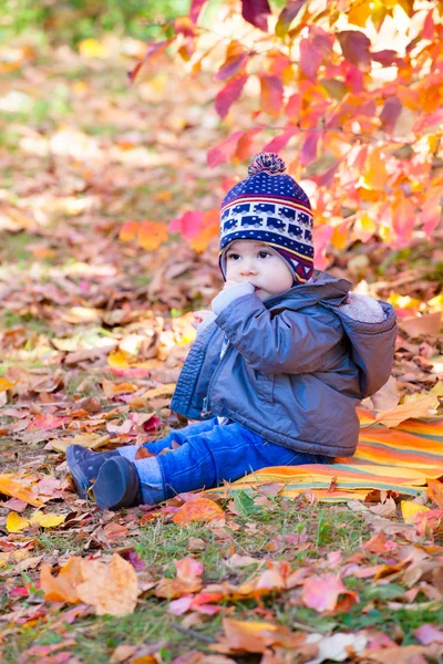 8 months old boy in the fall — Stock Photo, Image