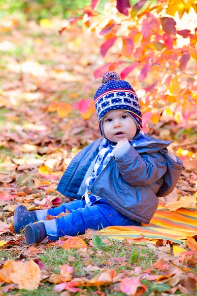 8 months old boy in the fall — Stock Photo, Image
