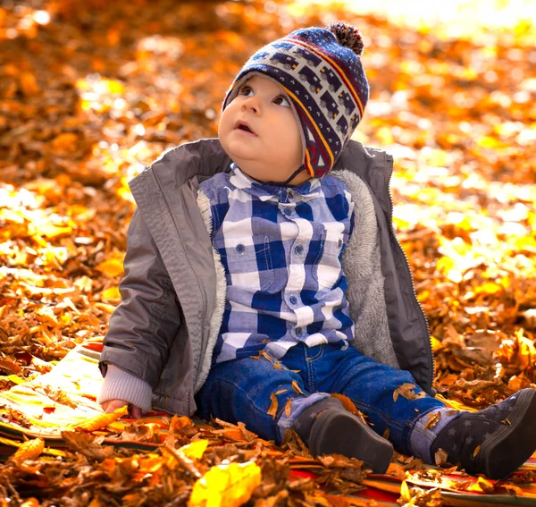 8 meses de idade menino no outono — Fotografia de Stock