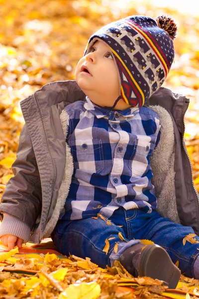 8 meses de idade menino no outono — Fotografia de Stock