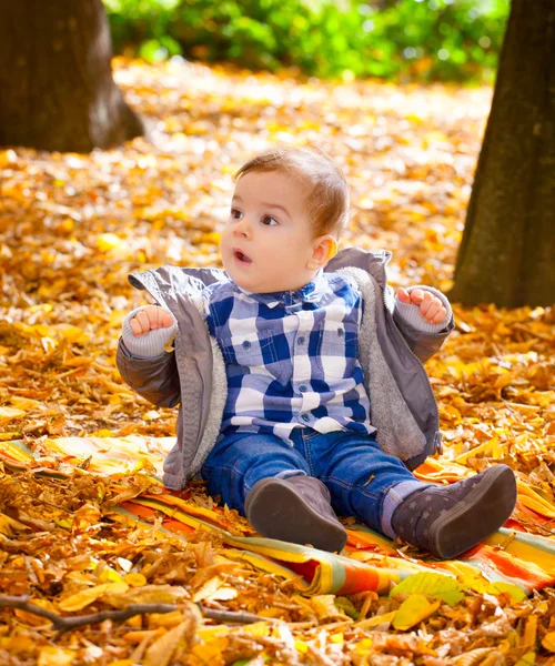 Niño de 8 meses en el otoño —  Fotos de Stock