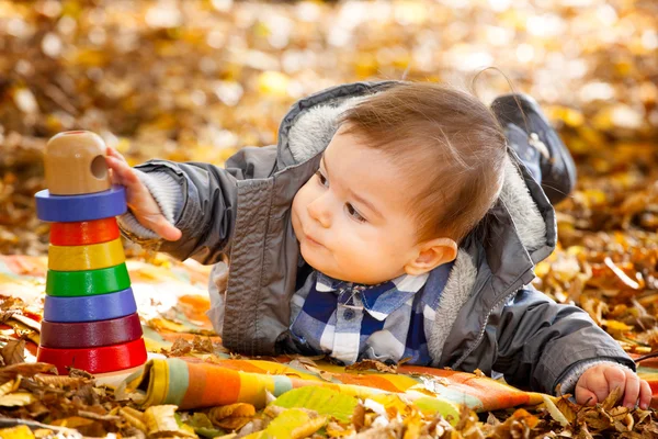 8 months old boy in the fall — Stock Photo, Image