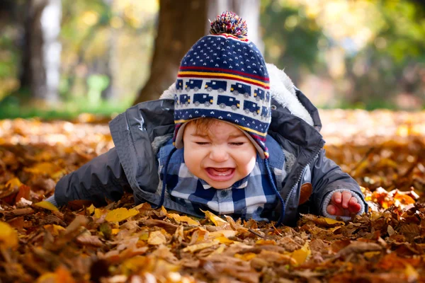 8 ay yaşlı çocuk sonbaharda — Stok fotoğraf